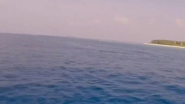 钢琴师带大家欣赏海底世界，十分罕见，拍摄不易，喜欢么，能换14亿同胞一个吗？感谢大家！#渔民