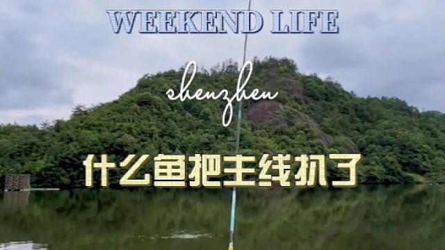 什么鱼给主线扒了