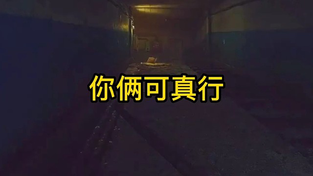 逃离塔科夫:你两可真行。