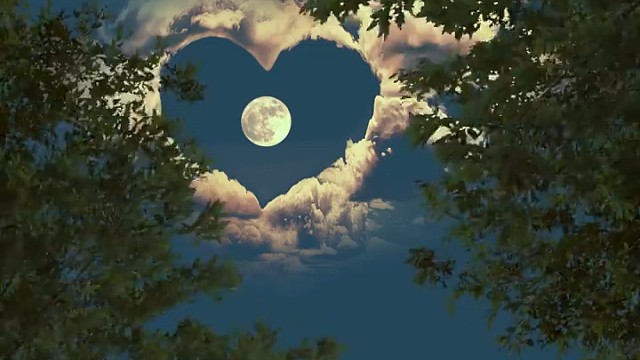 希望你的心可以永远偏向我这边