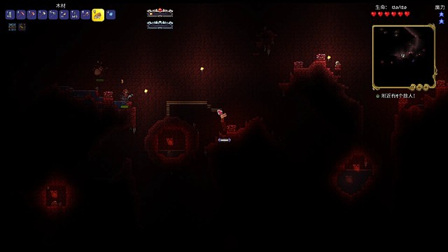 泰拉瑞亚灾厄盗贼生存（第二天2）