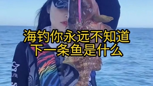 海钓你永远不知道下一条鱼是什么