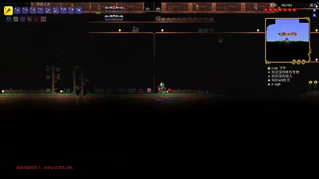 泰拉瑞亚灾厄盗贼生存（第二天6）