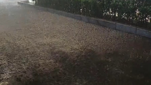 《论城市街道钓鱼的可行性》