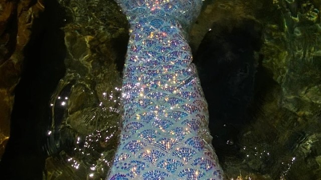 我是一条美人鱼我现在生病了
需要用魔法治病如果你想救我
就给我送个魔法书吧๑⃙⃘´༥`๑⃙⃘