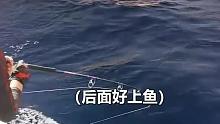 海钓手搏100+金枪鱼，和大鱼搏斗的过程，这也太过瘾了吧！ (7)