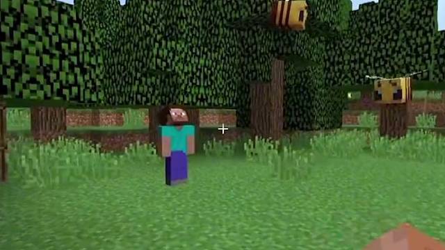 他进去经历了什么