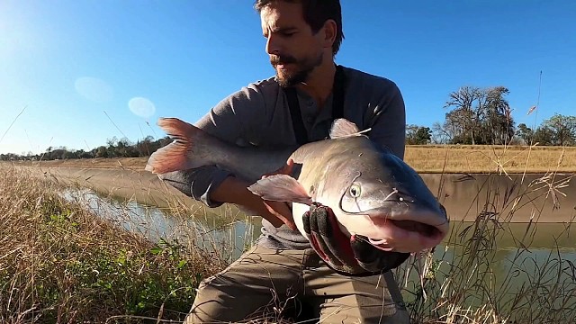 大铁锅已经架好，就等这鱼了！