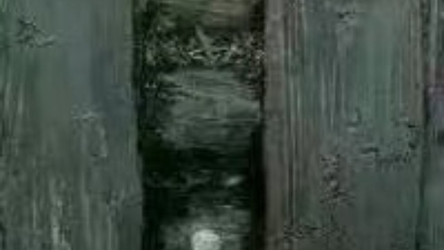 拿去发给朋友吧