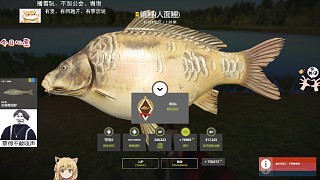 26圖琥珀湖-31K星鏡鯉人面（81星）