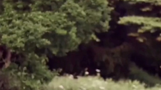 钓鱼也可以很浪漫！