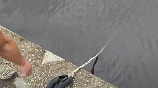 这样也能钓到大鱼！