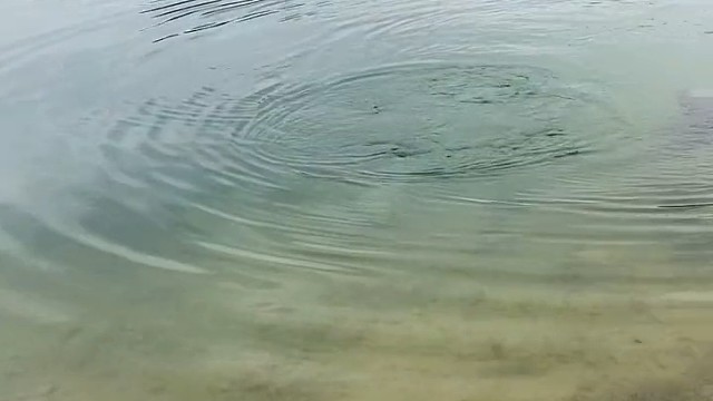 秋天的第一条鲤鱼！