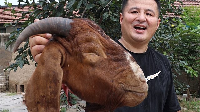 80元买一个大羊头，做个“剁椒羊头”，肉质鲜嫩爽辣，真美味