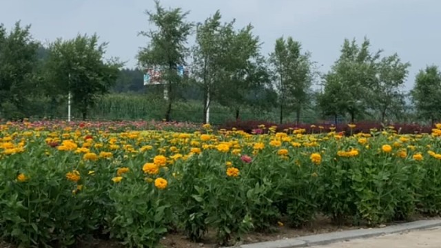 每天一分钟，滋养脊柱，滋养面部，还你少女颜