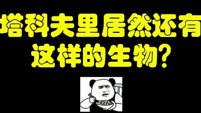 逃离塔科夫:塔科夫里居然还有这样的生物？