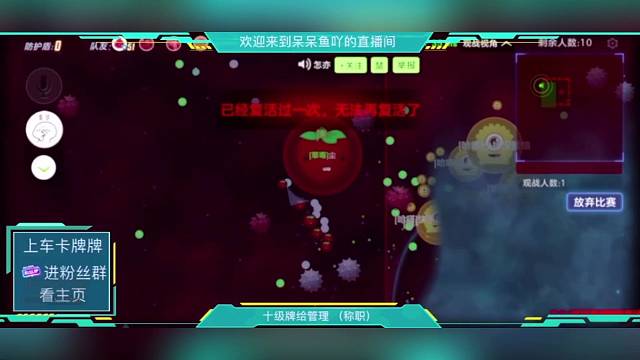 技输主播和她的技术粉丝