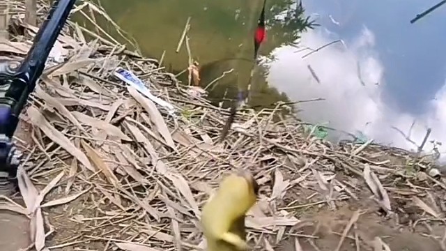 这哥们估计好些年不能钓鱼了！