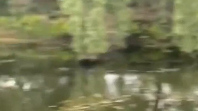 怪不得他们说钓鱼会上瘾！