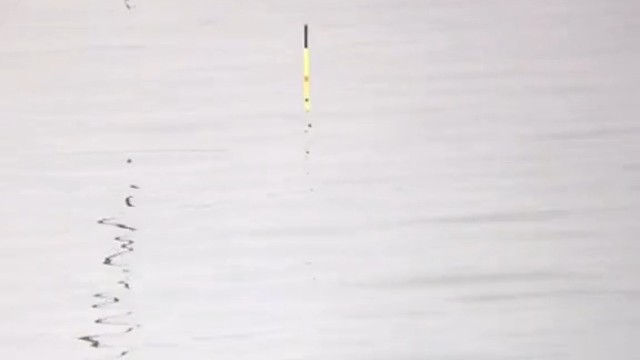 多大的鱼才配的上这根鱼竿！