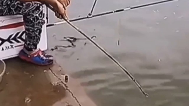 钓鱼人的骚操作