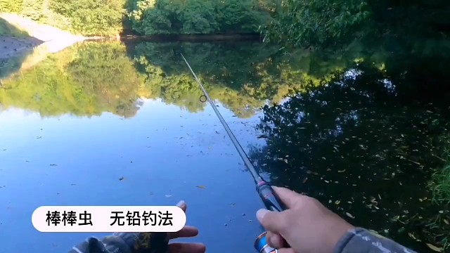 棒棒虫，无铅钓发