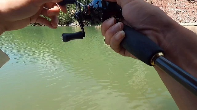 这是真的打龟啊