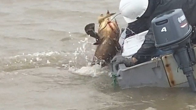 这一天能吃好多天了！