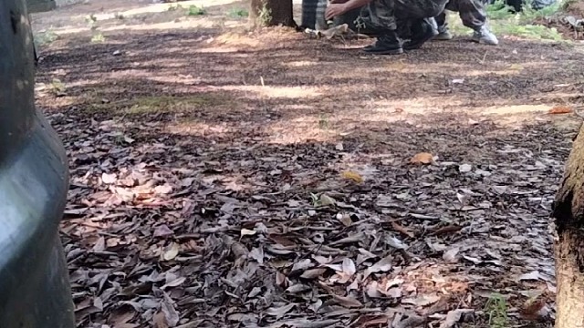 真人CS,突突突。。。