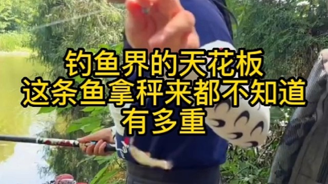 钓鱼界的天花板这条鱼拿秤来都不知道有多重