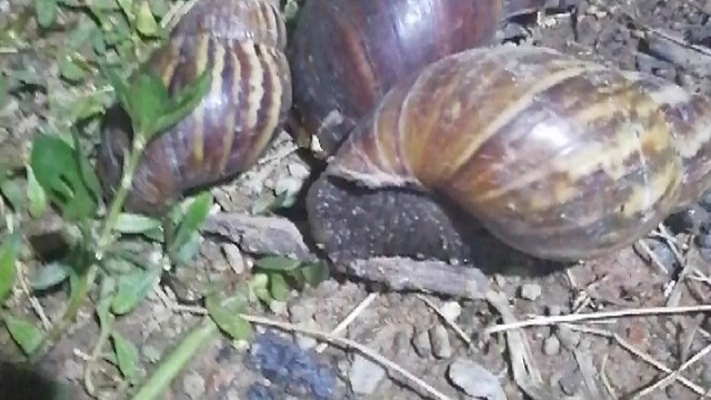 一家人就信整整齐齐