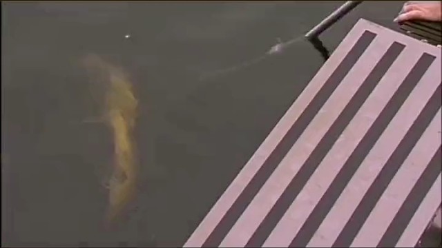 还有这样的操作