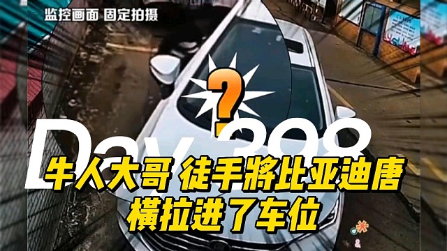 牛人大哥徒手将比亚迪唐横拉进了车位