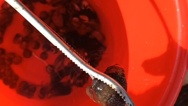 喂!就是说你了，赶海去不喽？好多螺好好玩的那种哟！