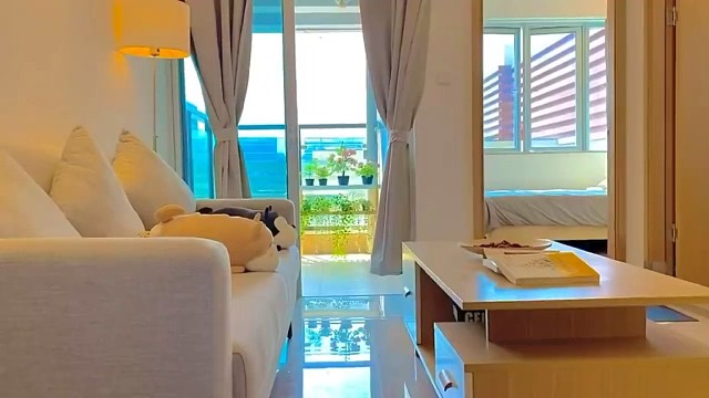 深圳租房|宝安区坪洲地铁站两房一厅|||震惊我一整个夏天采光着实好哈哈隔
深圳公寓直租