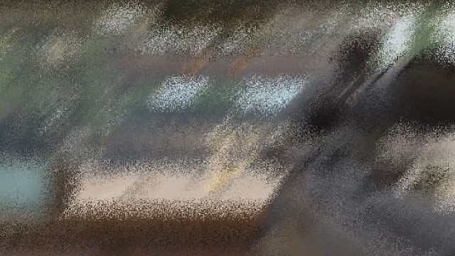 黄金沙鹰真不错