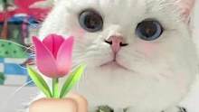 我已經(jīng)被洗腦了，你是我的姐！我唯一的姐！#你是我的姐#搞笑 #娛樂(lè)評(píng)論大賞 
