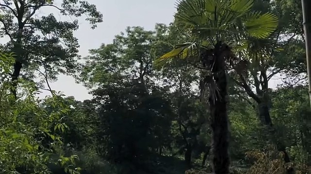 人生百般苦，不可欺人，更不可自欺