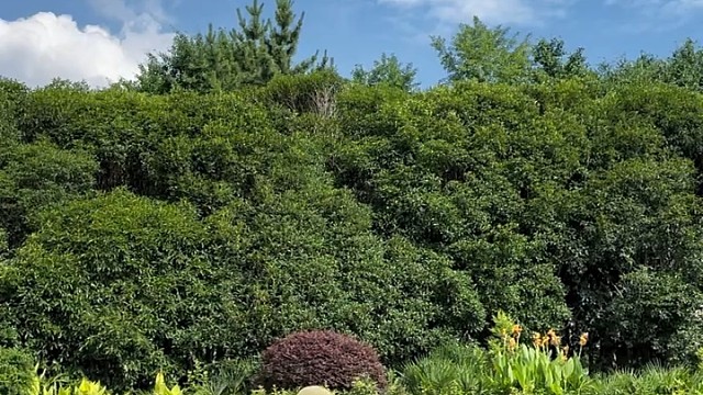 把普通的事做得异常的好将带来成功