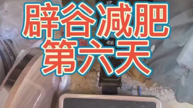 你们猜他们会来住吗？