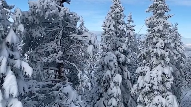 所谓人生开挂，不过是厚积薄发，坚持你所热爱的，热爱你所坚持的，剩下的交给时间就好。#雪地里撒欢