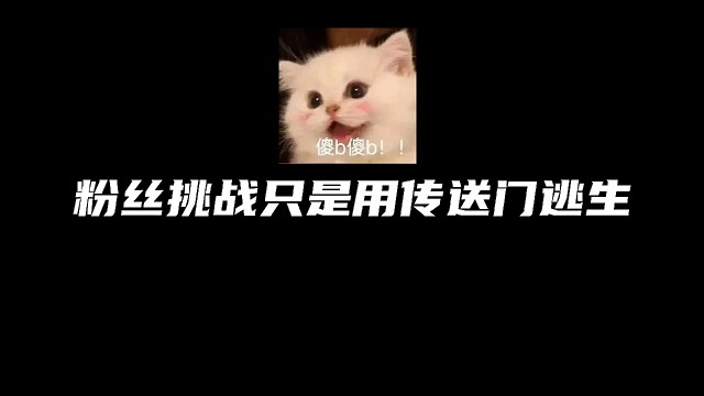 逃跑吧！少年：《粉丝挑战只是用传送门逃生！》