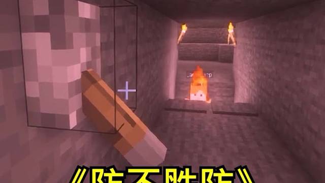 我的世界：来看看何为顶级折磨