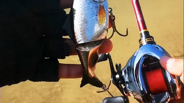 这装备可以，赶紧的！