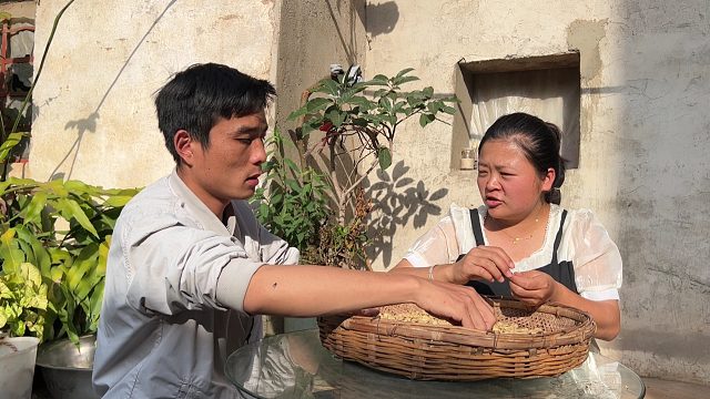 媳妇怀孕想吃野生菌，这个季节有钱买不到，老公会满足她的愿望吗