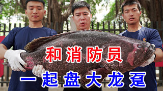 消防體驗(yàn)第二彈，帶條50斤大龍躉給消防員加餐！