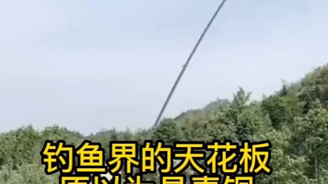 钓鱼界的天花板愿意为是青铜其实是王者结局笑死我了