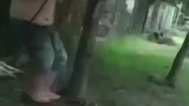 睡觉