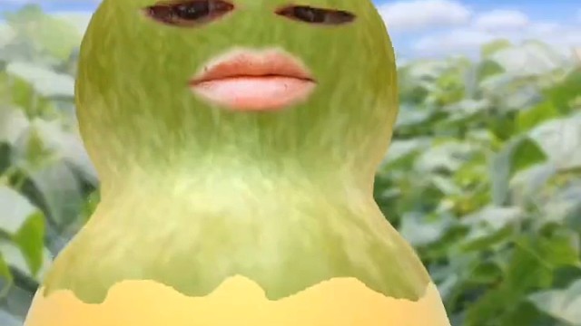 一个瓜