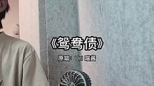 #少年感 #翻唱 #紙嫁衣3鴛鴦債 鴛 鴦 債